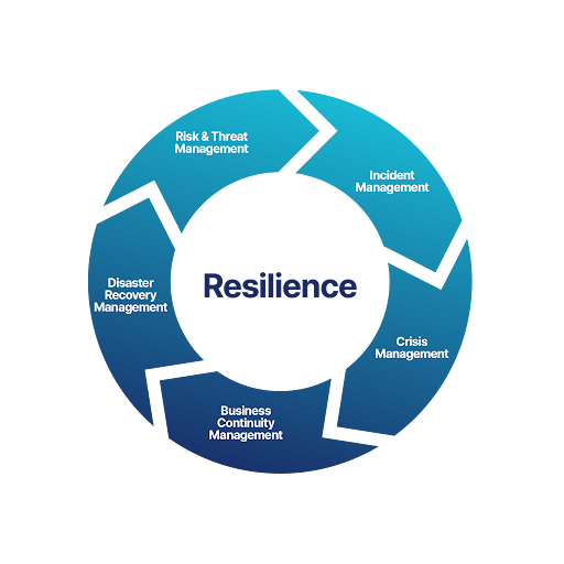 resilience-visual resilience visual